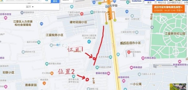 新来的东北大奶，中心港一半以上